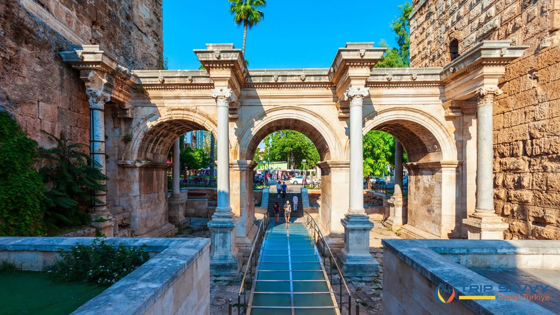 Mediterranean Region