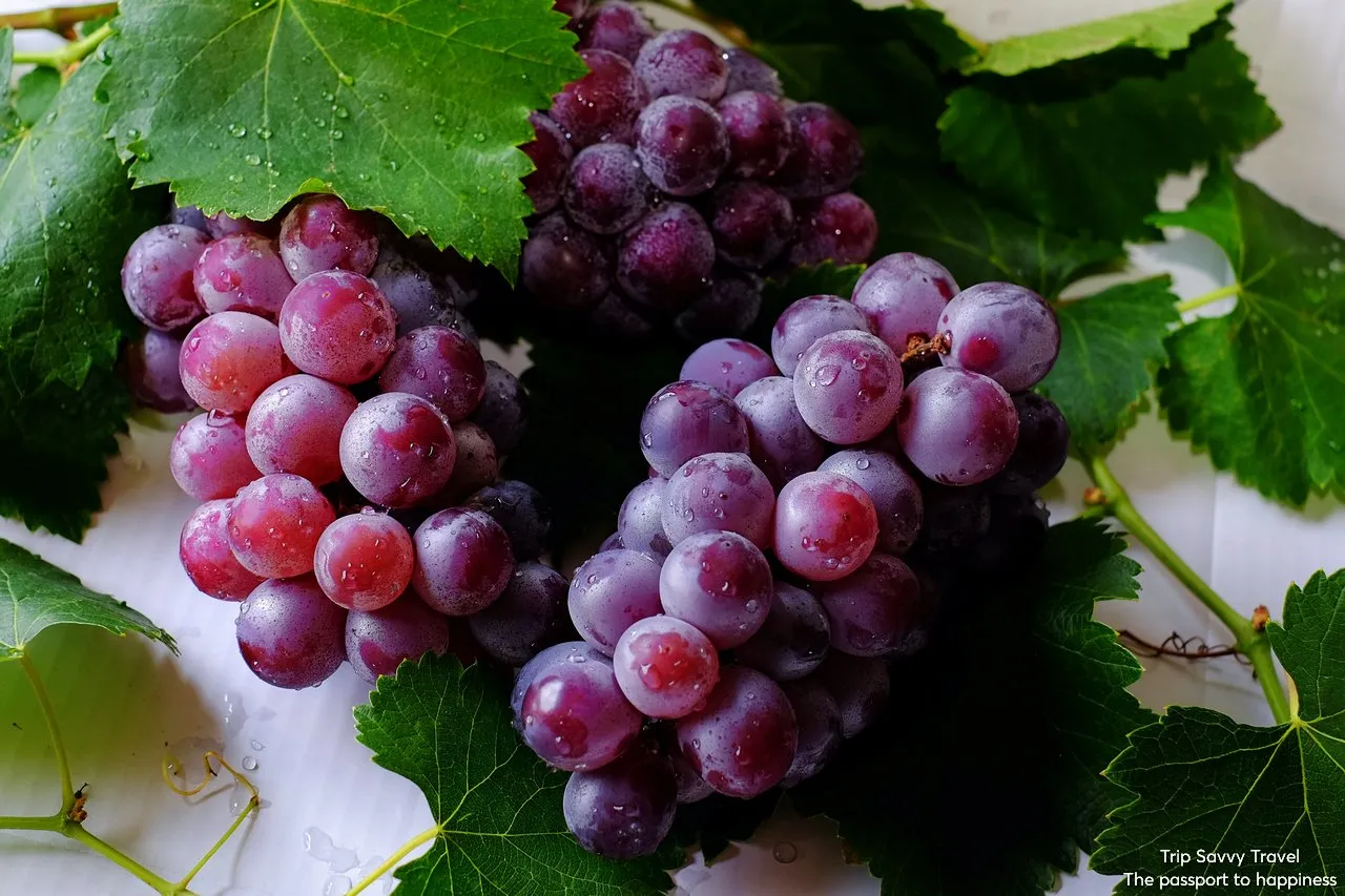 Grape clusters representing Cappadocia's wine culture