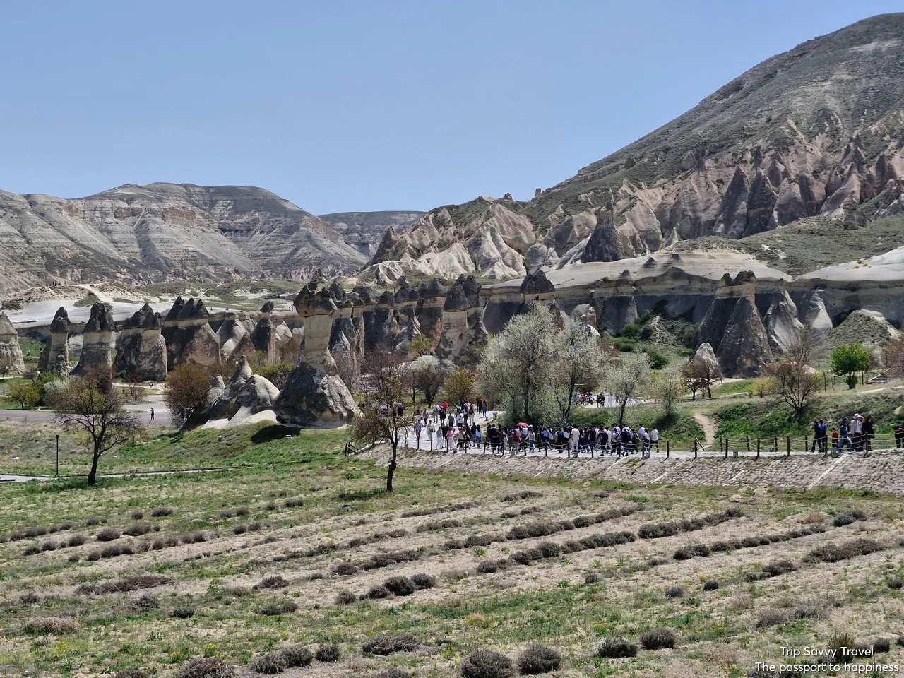 Индивидуальный тур «Все в одном» в Кападокью - Фото 16