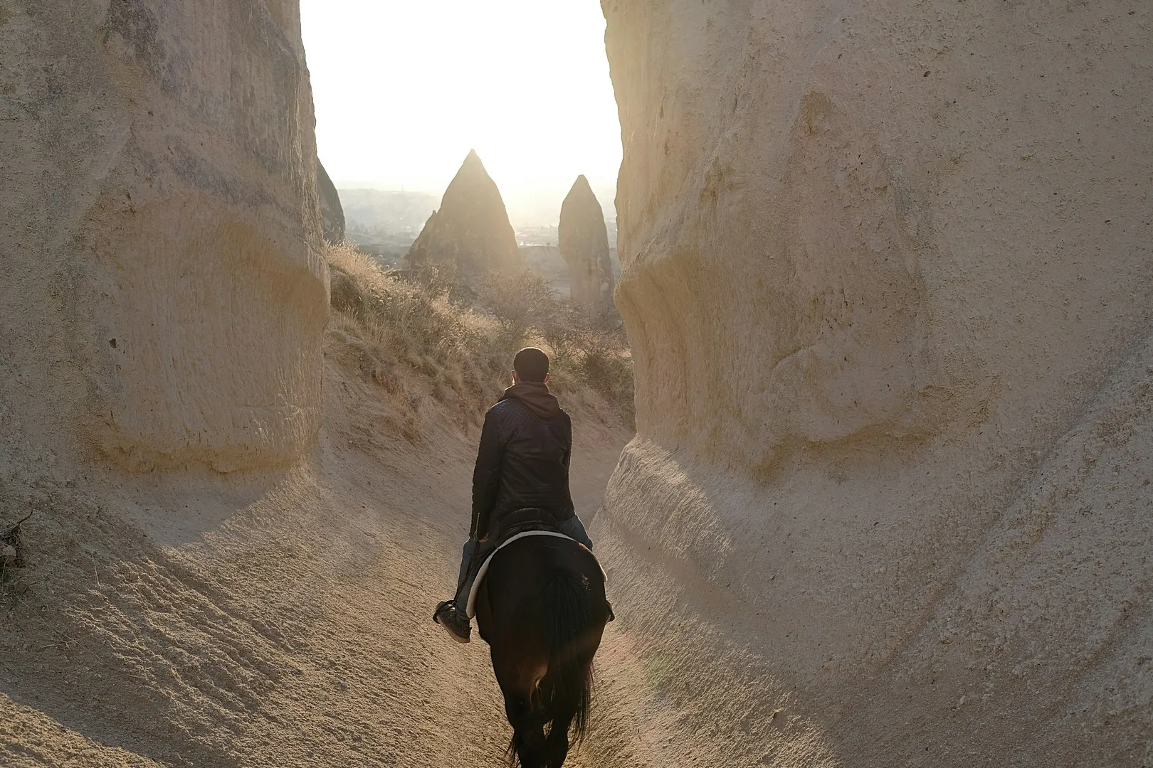 Balade à cheval d'une heure - Photo 5