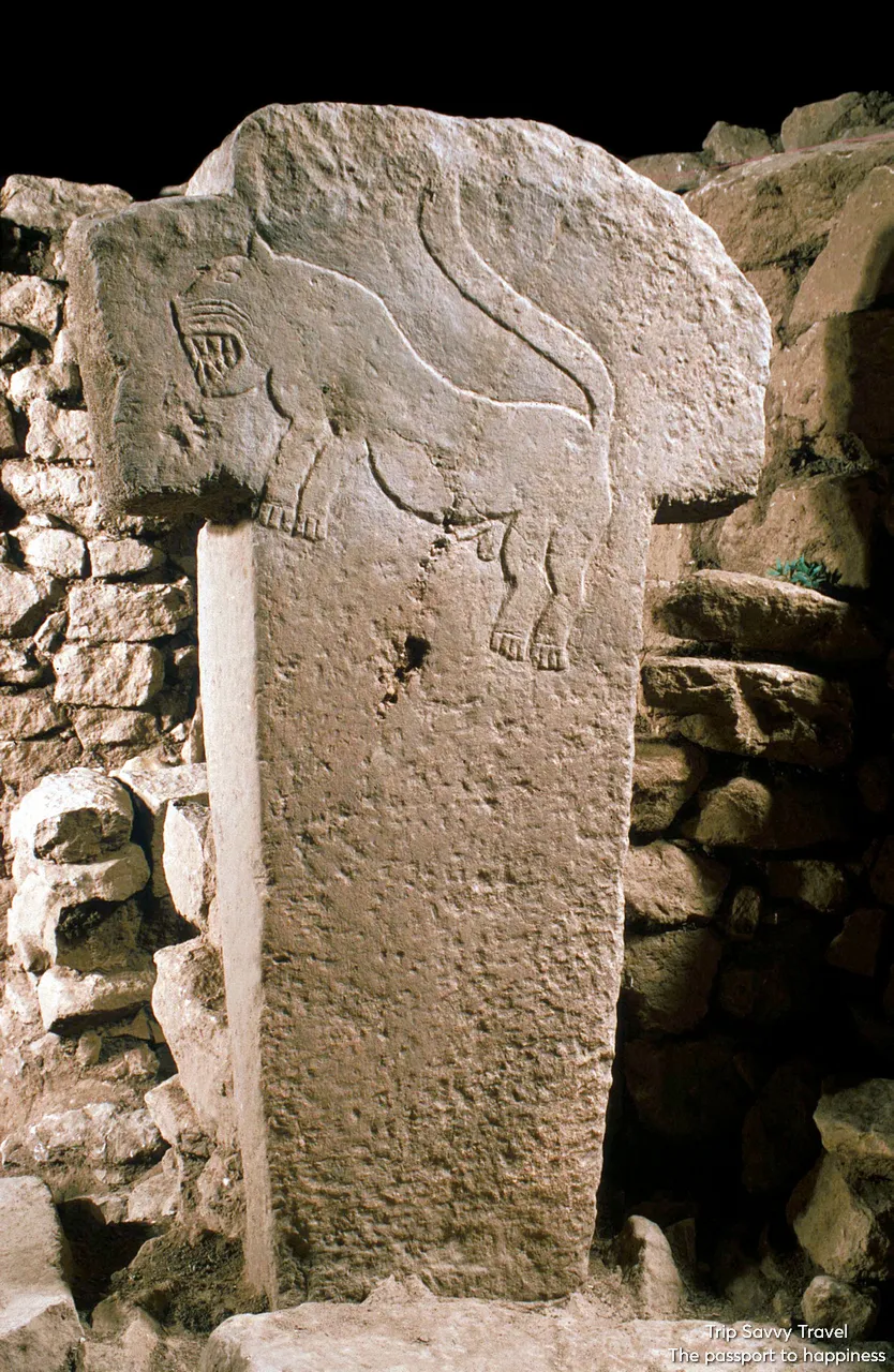 Cappadocia Nemrut Gobeklitepe Tour - Photo 11